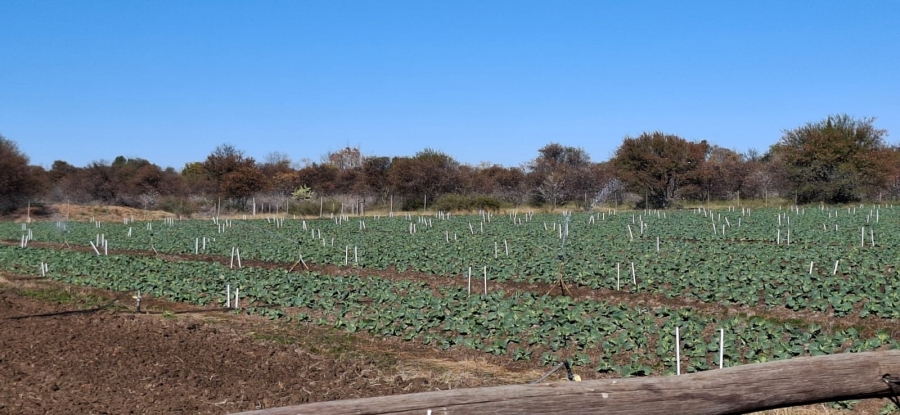 Commercial Property for Sale in Bloemfontein Rural Free State
